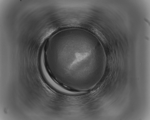 X0000091480677200708231401