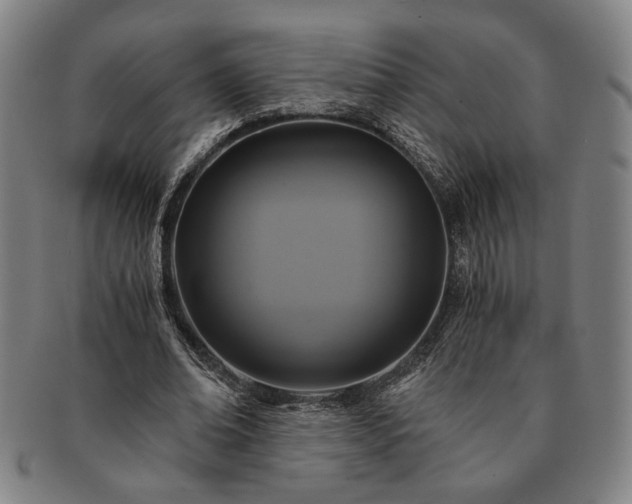 X0000091480678200708231401