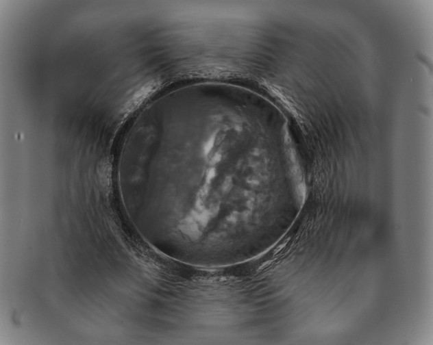 X0000091480679200708231401