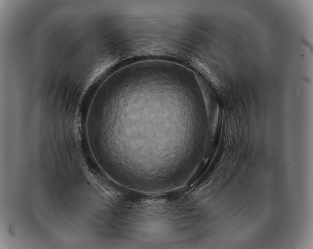 X0000091480680200708231401