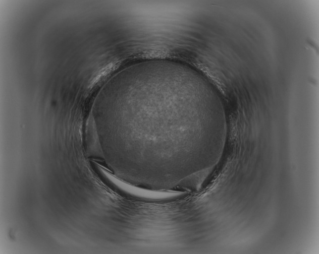 X0000091480681200708231401