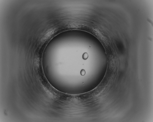 X0000091480683200708231401