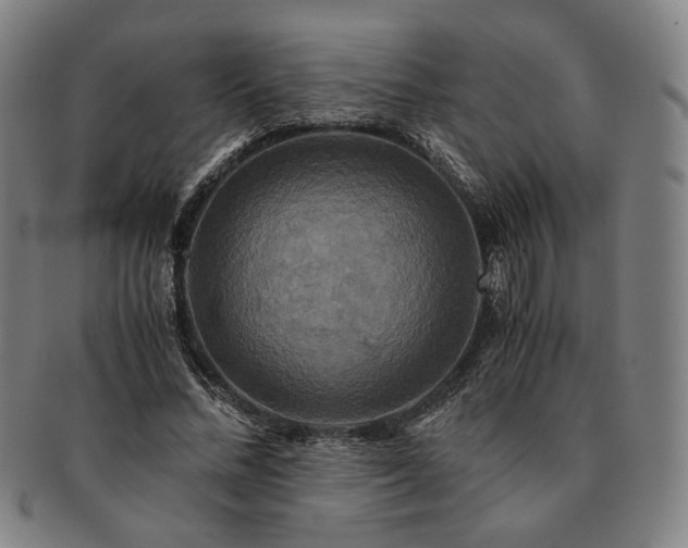 X0000091480684200708231401