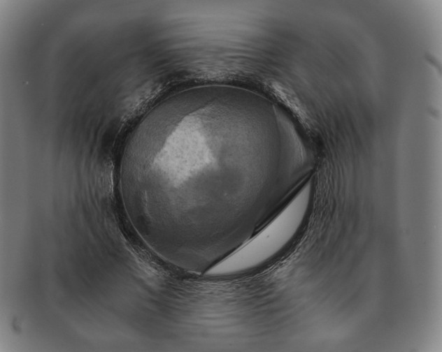 X0000091480685200708231401