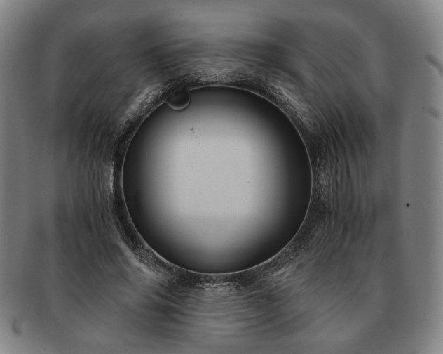 X0000091480686200708231401