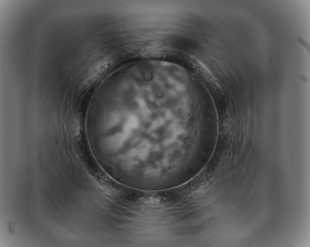 X0000091480687200708231401