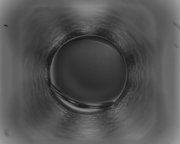 X0000091480689200708231401