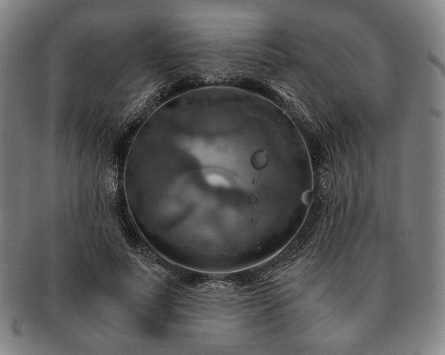 X0000091480691200708231401