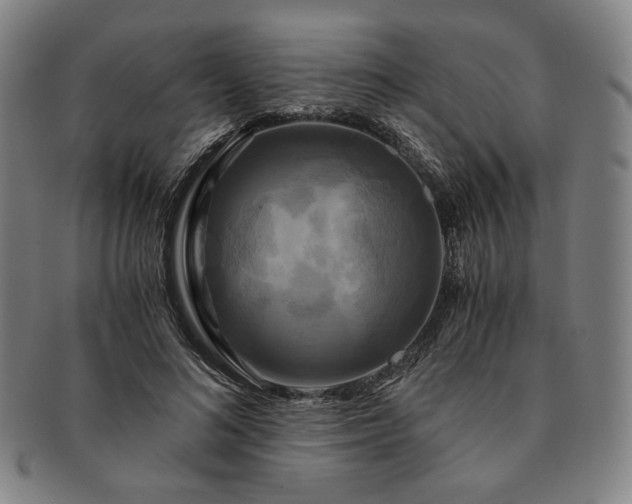 X0000091480692200708231401