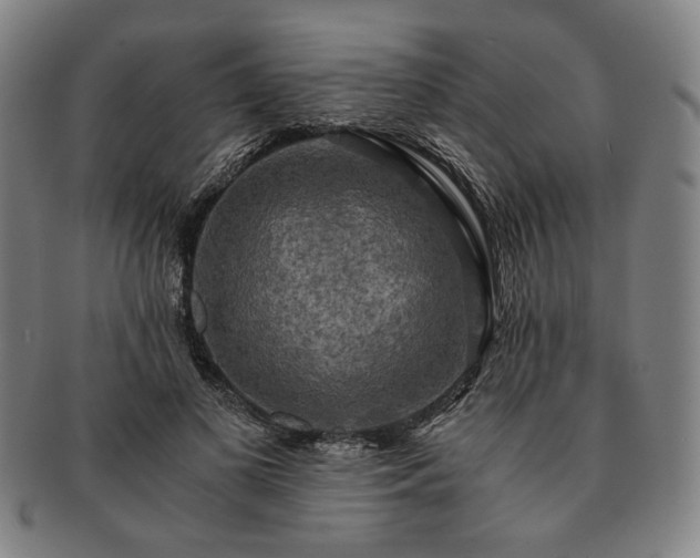 X0000091480693200708231401