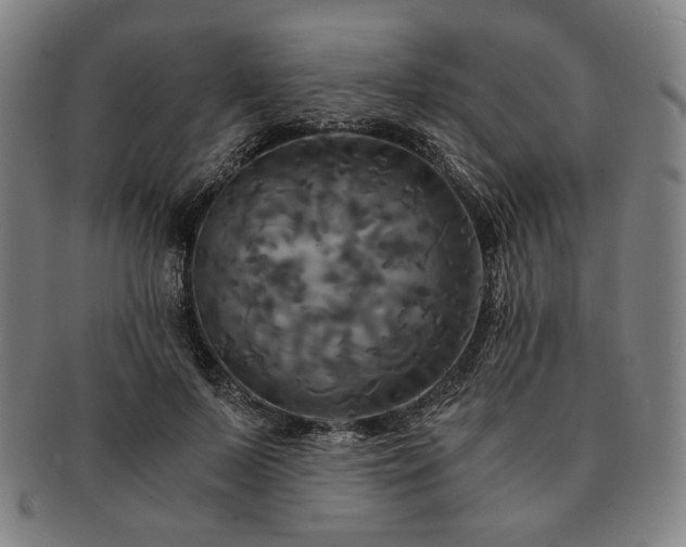 X0000091480695200708231400