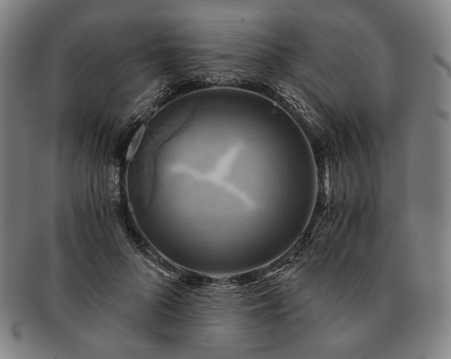 X0000091480696200708231400