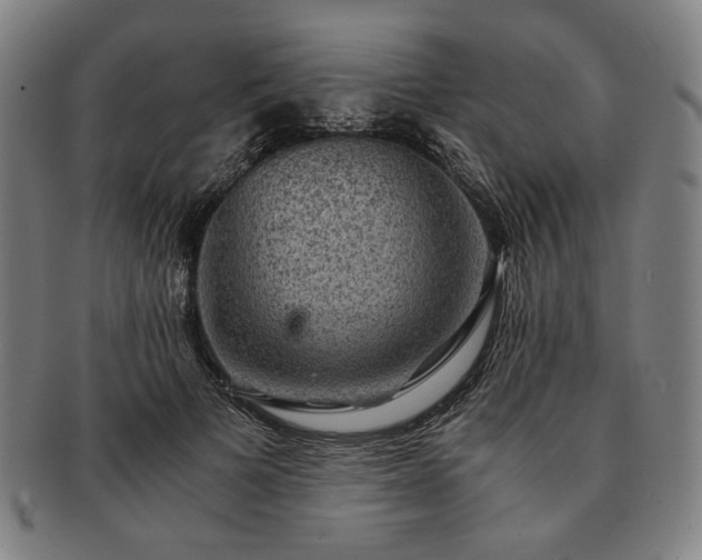 X0000091480697200708231400