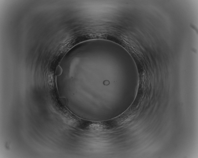 X0000091480699200708231400