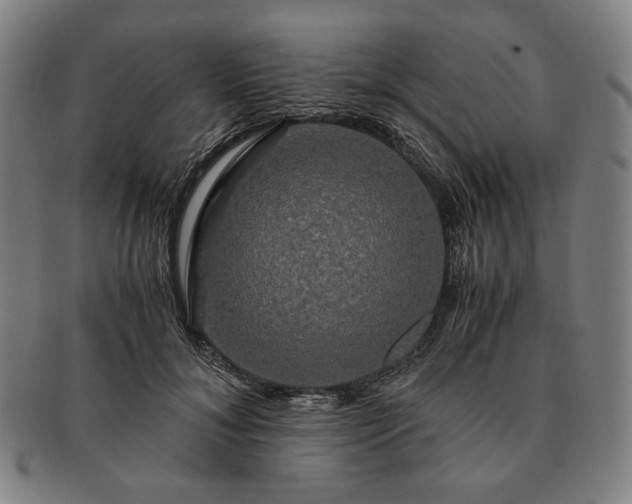 X0000091480700200708231400