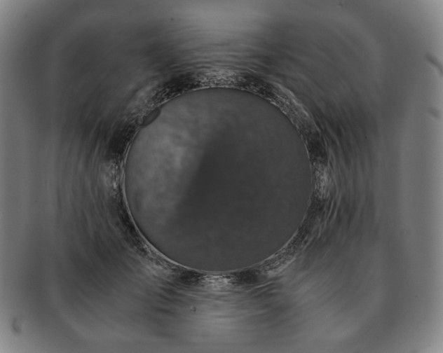 X0000091480701200708231400