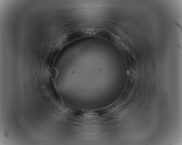 X0000091480707200708231400