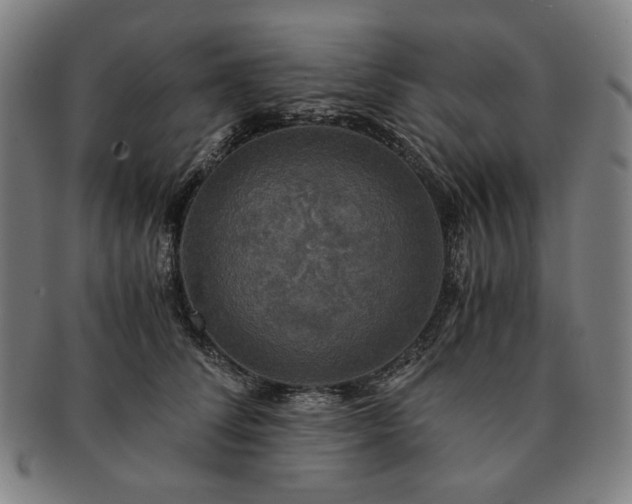 X0000091480708200708231400