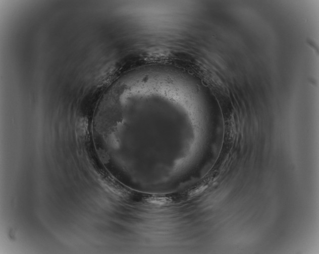 X0000091480711200708231400