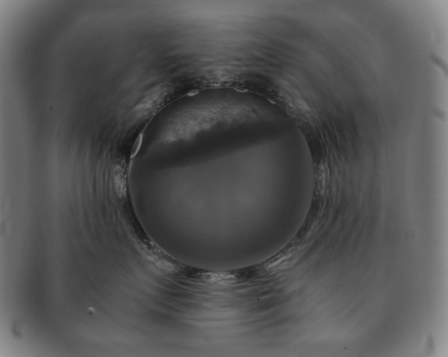 X0000091480719200708231400