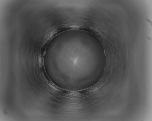 X0000091480720200708231400