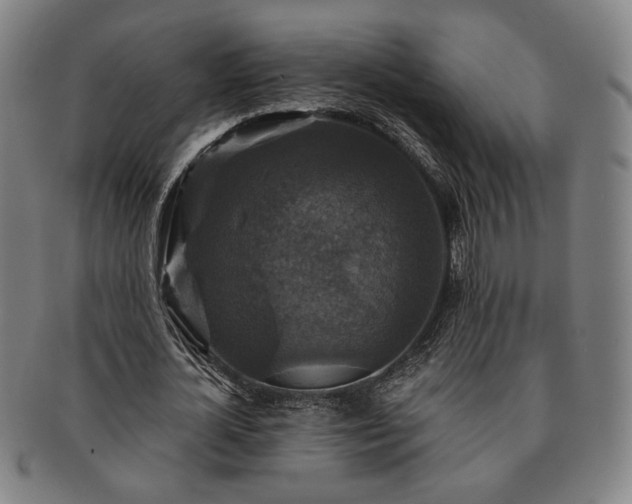 X0000091480724200708231400