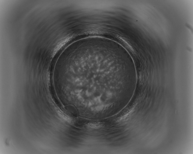 X0000091480725200708231400