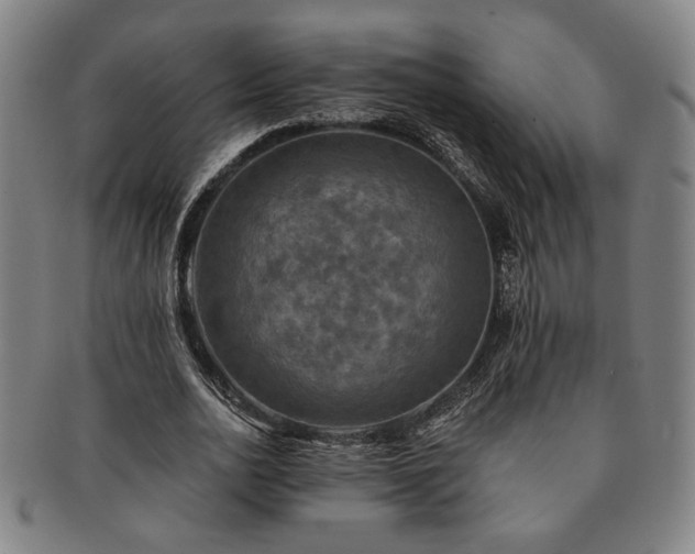 X0000091480726200708231400