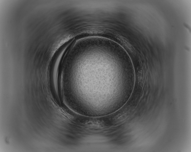 X0000091480727200708231400