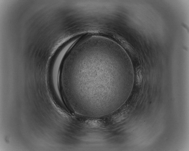 X0000091480728200708231400