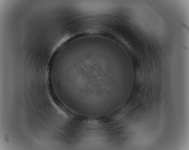 X0000091480730200708231400