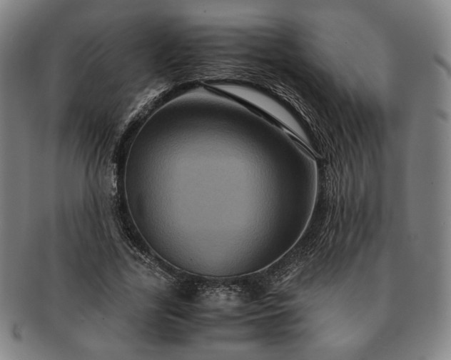 X0000091480731200708231400