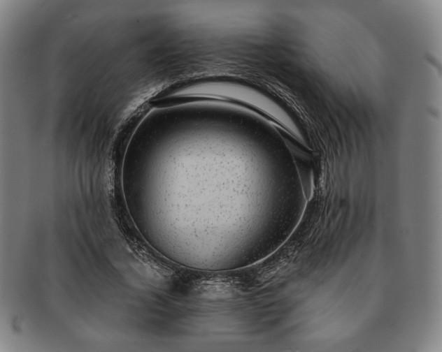 X0000091480732200708231400