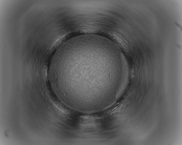 X0000091480733200708231400