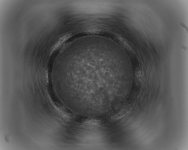 X0000091480734200708231400