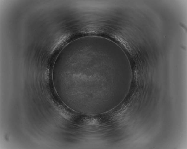 X0000091480735200708231400