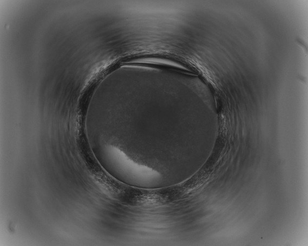 X0000091480736200708231400