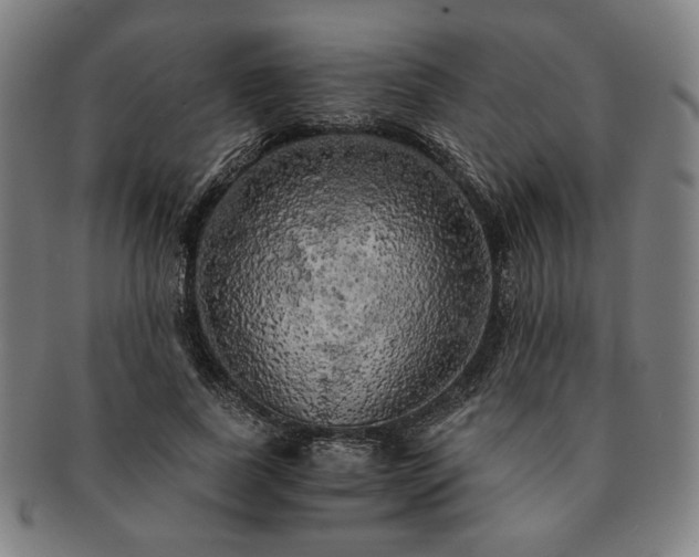 X0000091480739200708231400