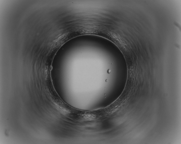 X0000091480741200708231400