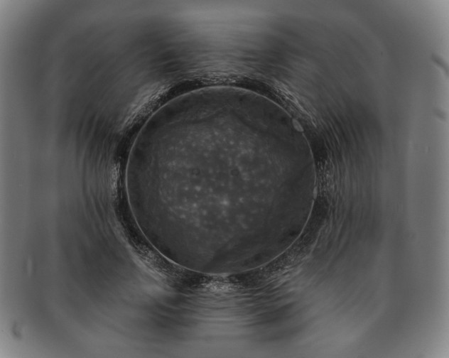 X0000091480742200708231400