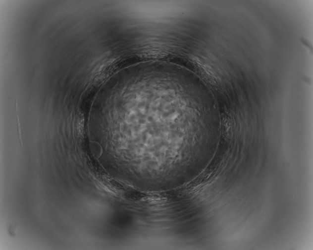 X0000091480745200708231400