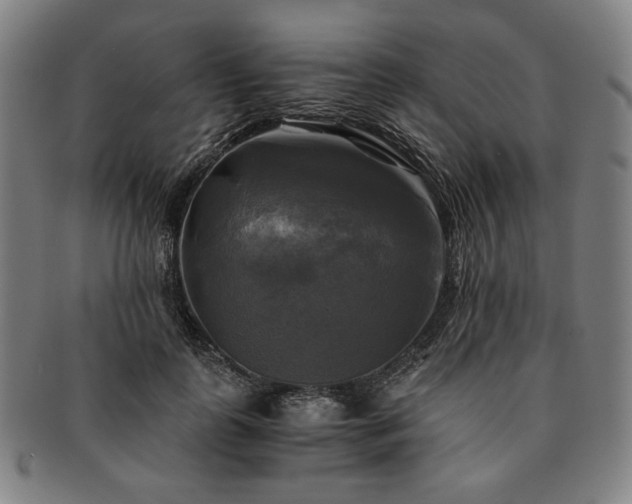 X0000091480747200708231400