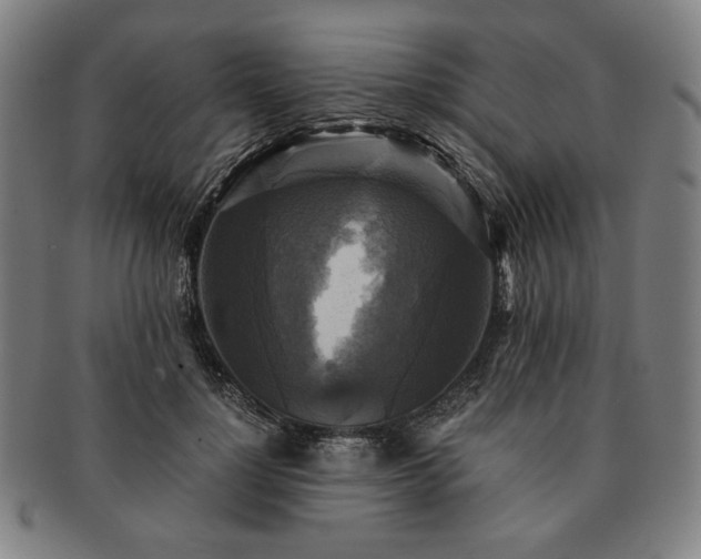 X0000091480748200708231400