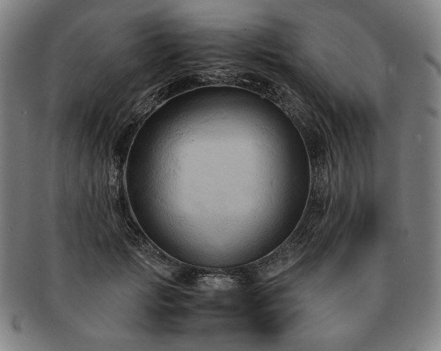 X0000091480749200708231400