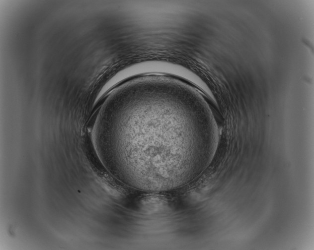 X0000091480750200708231400