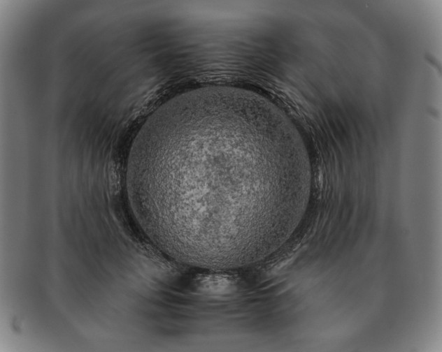 X0000091480751200708231400