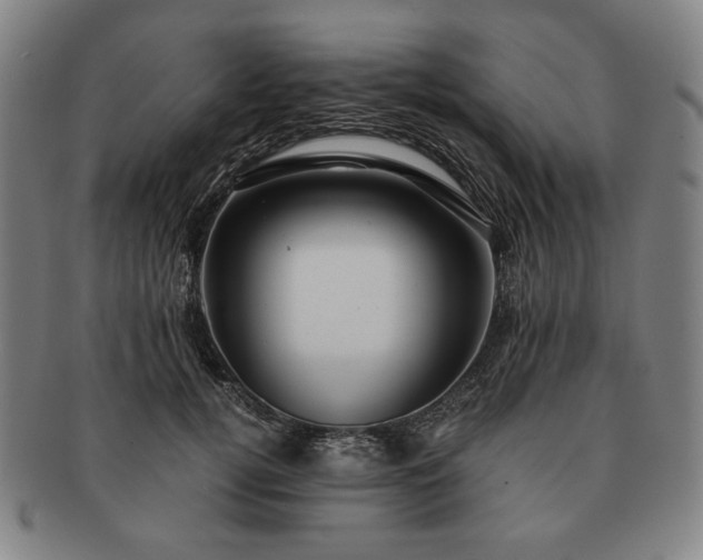 X0000091480752200708231400