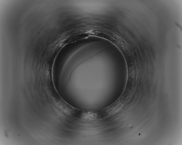 X0000091480754200708231400