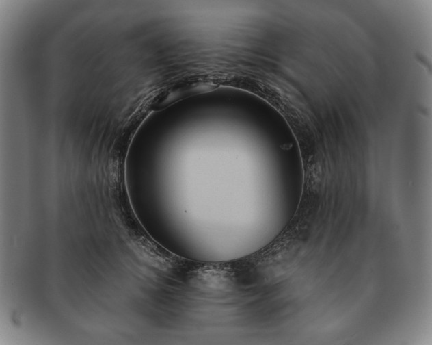 X0000091480756200708231400