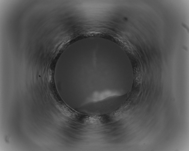 X0000091480758200708231400